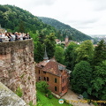 Heidelberg Castle - from the viewing terrace